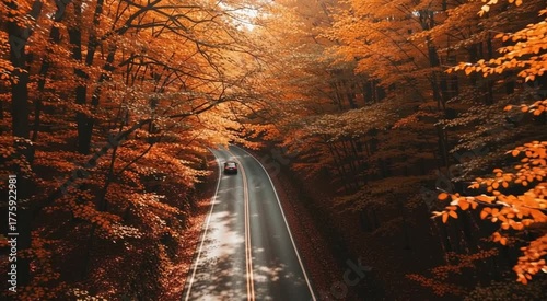 Aerial view of a car driving on a winding road through a colorful autumn forest