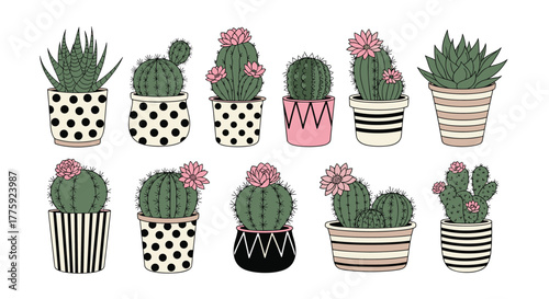 Hand-drawn illustration of various potted cacti and succulents with pink flowers, perfect for home decor.