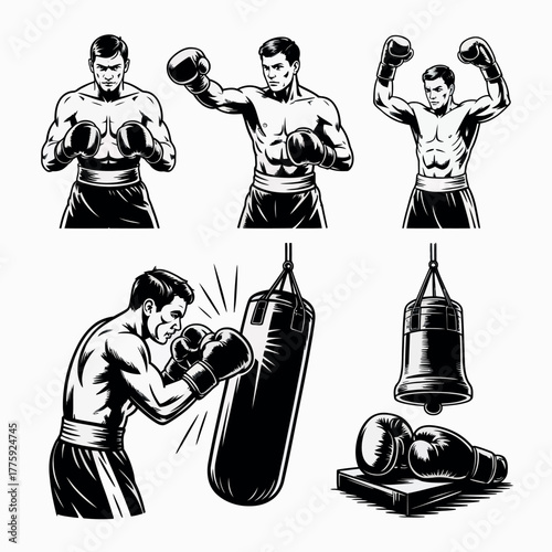 Vintage boxing illustrations showing fighters training and equipment