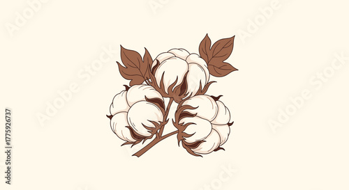 Minimalist artistic rendering of a cotton plant branch with three soft, fluffy white cotton bolls and brown leaves, evoking natural purity.