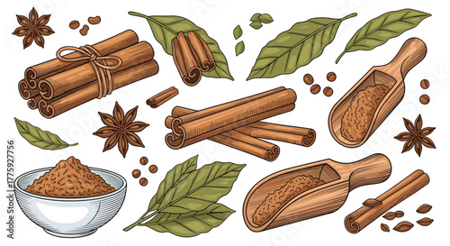 A detailed collection of various aromatic spices like cinnamon sticks, ground cinnamon, star anise, and bay leaves, ideal for cooking and seasoning.