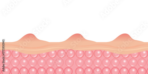 Detailed Human Skin Layers & Cells Vector Illustration. A scientific yet aesthetically pleasing cross-section of skin, revealing intricate layers and cells. Ideal for beauty product advertisements, 