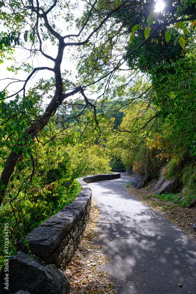 Fototapeta premium Curved path gently descending through a wooded park, bordered by stone walls and trees
