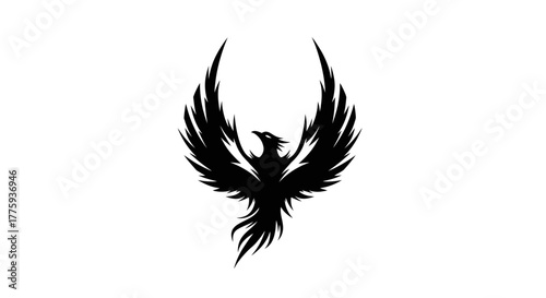 A striking black silhouette of a phoenix with outstretched wings and a flowing tail against a white background.
