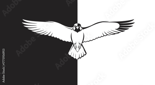 A striking black and white image of a bird of prey with outstretched wings, centered on a split background.