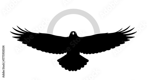 Silhouette of a bird of prey with wings spread wide against a light gray arc.