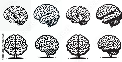 Vector set of images and simple silhouettes of the brain on a white background