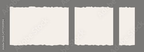 Paper frame set with jagged edges. Beige square and rectangle torn paper sheet collection. Ripped page template background for poster, text box, banner, collage, sticker. Vector craft backdrops