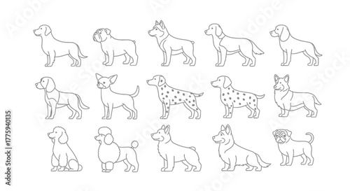 Set of 10 dog breeds in line art style