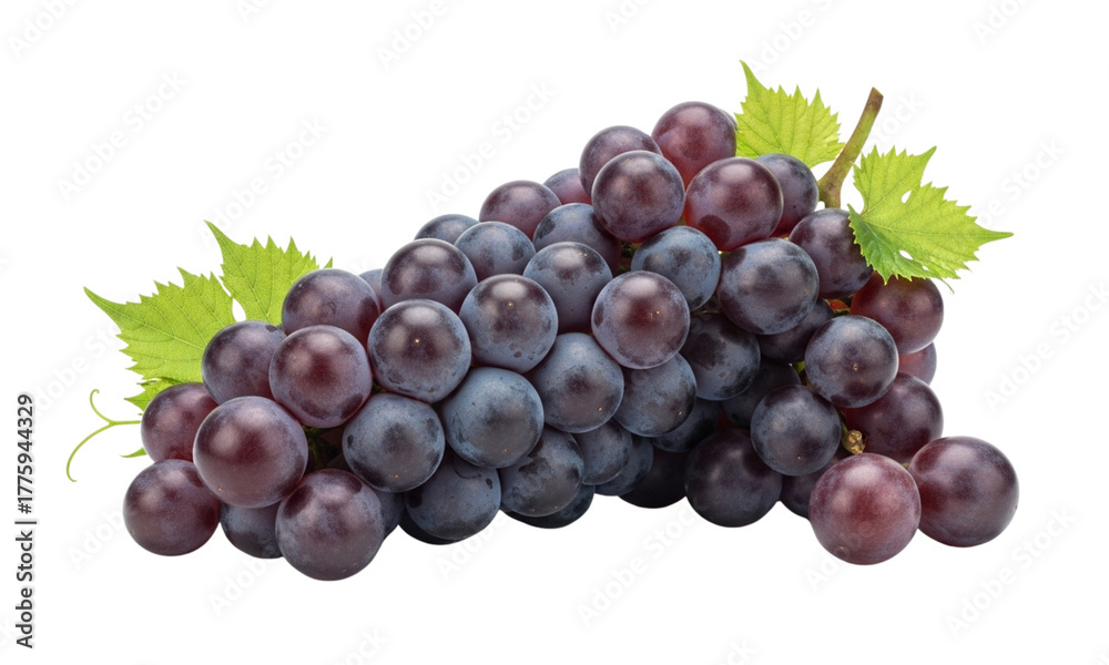 Fototapeta premium A fresh bunch of ripe dark purple grapes with green leaves, isolated on a clean white background.