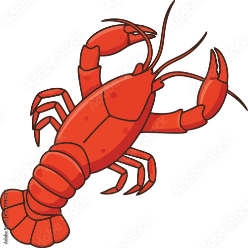 lobster isolated on white