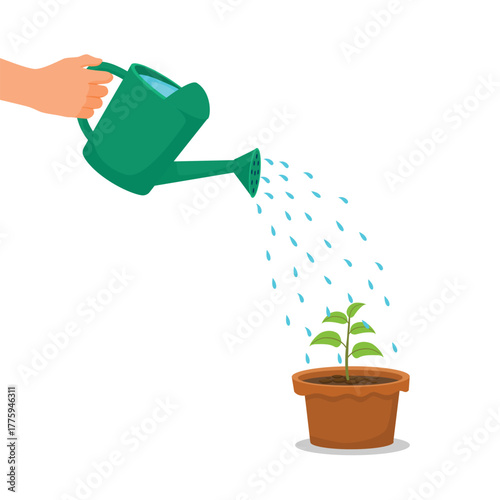 Hand watering plant with watering can