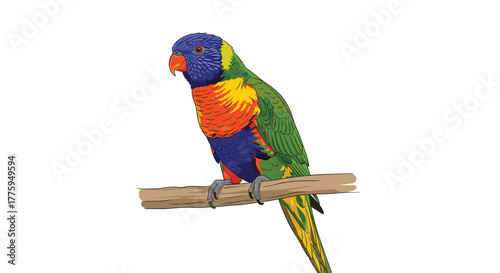 A vibrantly colored rainbow lorikeet, an exotic parrot with a blue head, orange chest, and green wings, perches on a natural wooden branch.