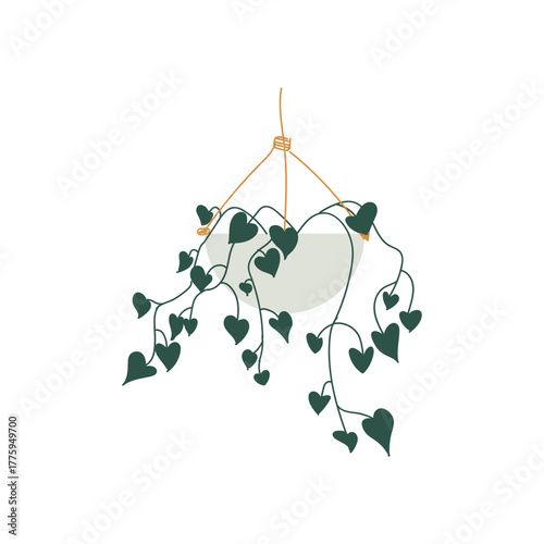 Hanging Plants