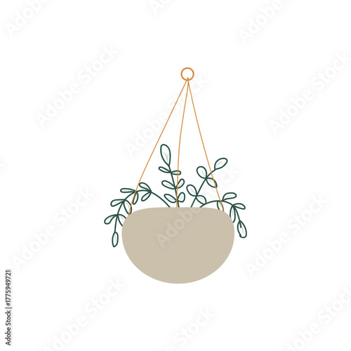 Hanging Plants