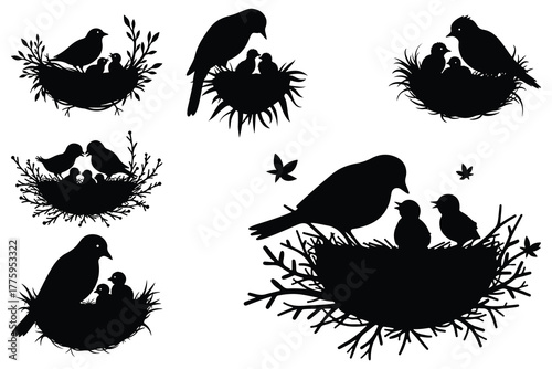 Black silhouettes of birds and nests with chicks vector