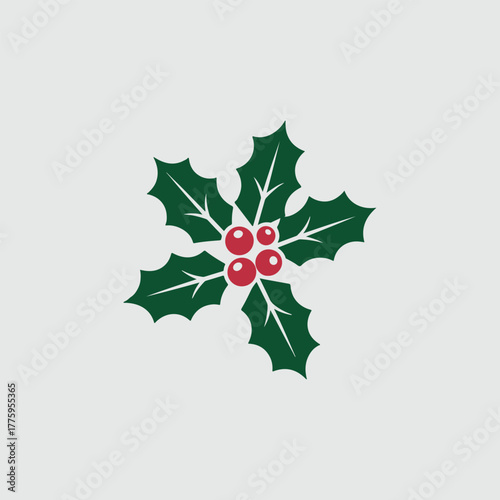 Christmas holly vector 