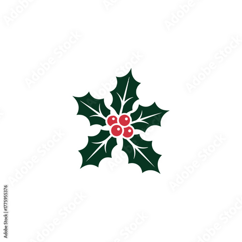 Christmas holly vector 