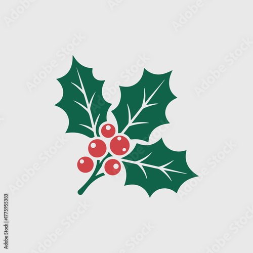 Christmas holly vector 