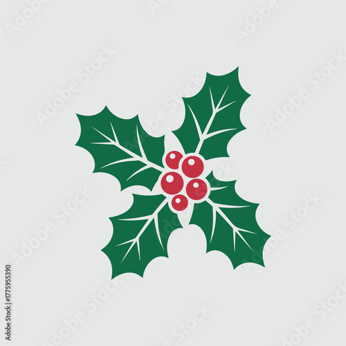 Christmas holly vector 