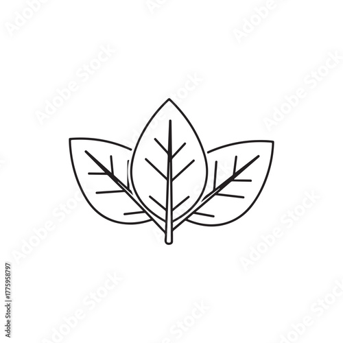 Tobacco leaves icon line art vector on white back ground