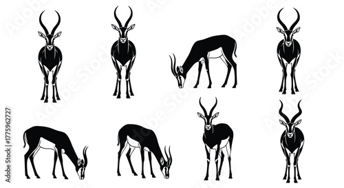 Springbok antelope vector illustration set black and white design