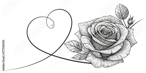 Vector elegant monochrome rose with detailed petals and leaves accompanied by a heart shaped flourish design