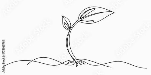 Vector single line drawing of a small seedling with two leaves sprouting from the ground with roots visible