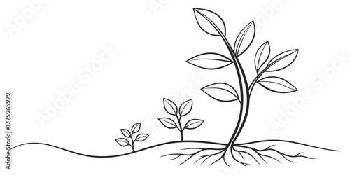 Vector illustration of three plants in different stages of growth with roots visible on a white background view