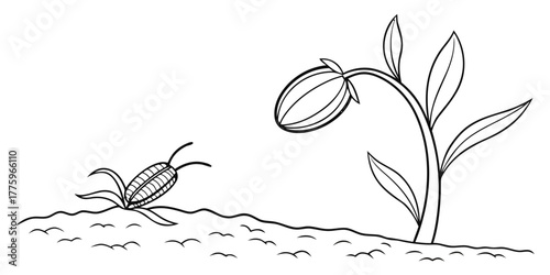 Vector illustration of a sprouting seed and a blooming flower on a ground with small marks and leaves