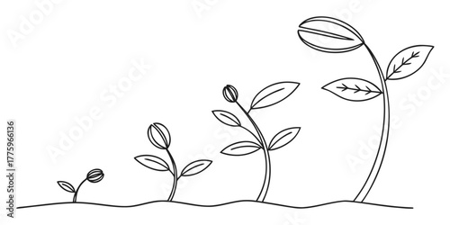 Vector line drawing showing the growth stages of a plant from seed to sprout with leaves and stem growth