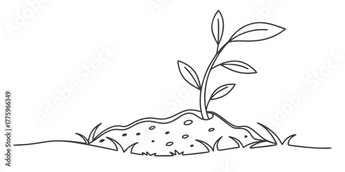 Vector a simple line drawing of a young plant growing out of a mound of soil with small leaves visible