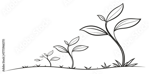 Vector illustration of a series of plants showing growth stages from small sprout to a mature plant stage