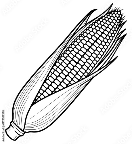 Hand drawn corn on the cob, a delicious and healthy vegetable for any meal or snack