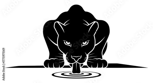 Powerful black panther drinks water from a ripple effect on a flat surface.