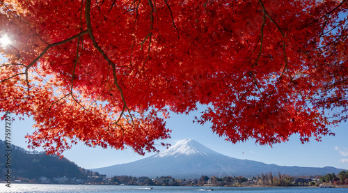 Mount Fuji, the iconic symbol of Japan, during the season of autumn foliage, a period of exceptional beauty.kawaguchiko,japan.