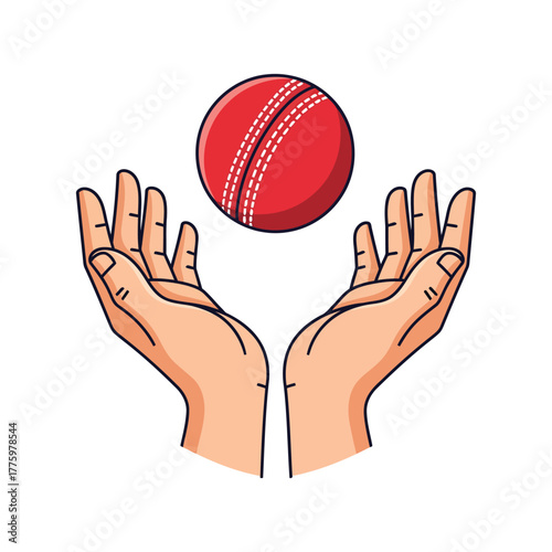 Hands catching a red cricket ball on white background Keywords: hands, catching, cricket, ball