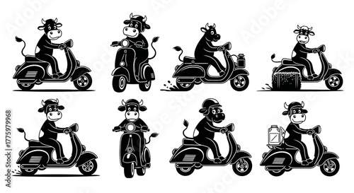 Cartoon Cows Driving Scooters Black White Collection Animals on Vespas Illustrations