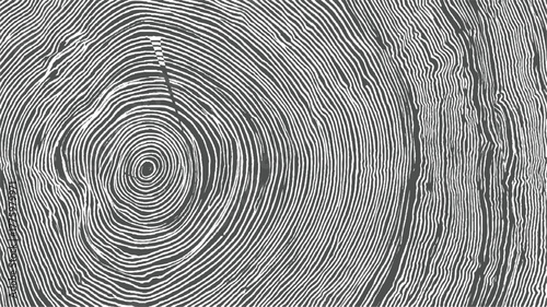 Close up of black and white wood grain texture with concentric rings and vertical lines background pattern