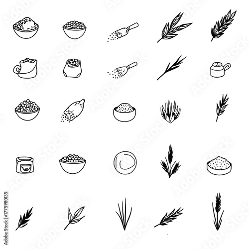 Vintage Style Cereal Plants Icons Bundle Including Corn Kernel Quinoa Buckwheat Detailed Drawings