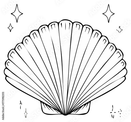 Outlined seashell illustration with star sparkles, drawing of shell, ocean icon, nautical design