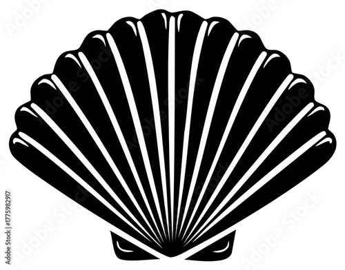 Elegant Black and White Seashell Illustration A Classic Marine Graphic Element