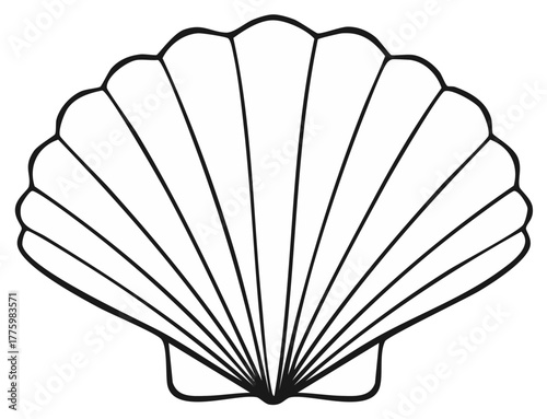 Scallop seashell line art illustration simple black and white outline for coloring page