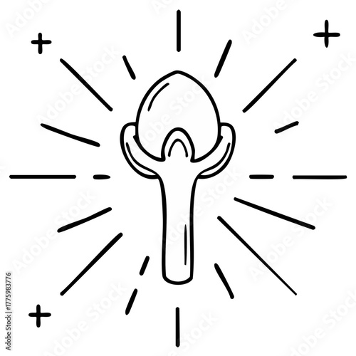 Hand Drawn Clove Spice with Rays, Outline Vector Illustration