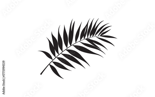 Palm Leaf Silhouette Vector – Tropical Botanical Nature Illustration Design