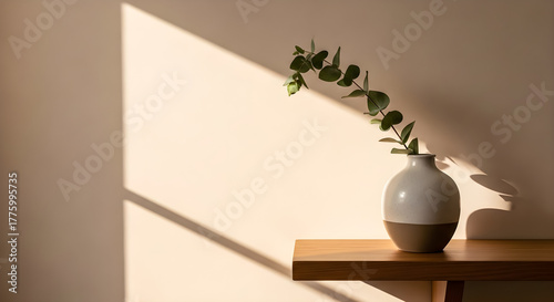 Minimal Ceramic Vase with Eucalyptus in Warm Morning Sunlight – Modern Home Decor