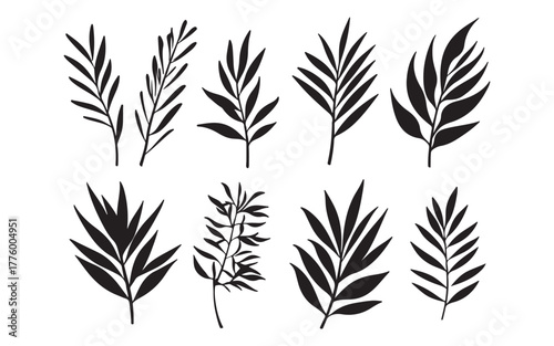 Palm Leaf Silhouette Vector – Tropical Botanical Nature Illustration Design