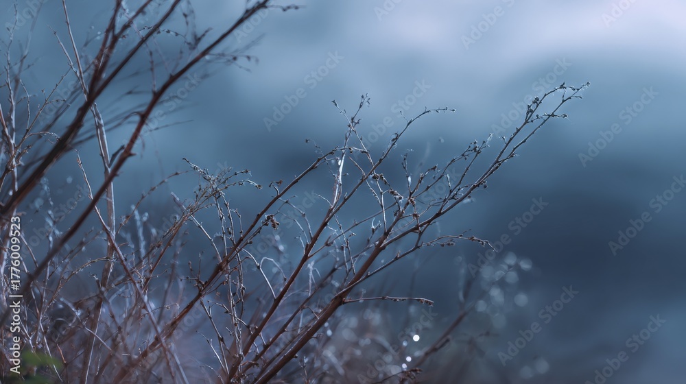 Obraz premium Ethereal foggy landscape with delicate branches in muted blue atmosphere