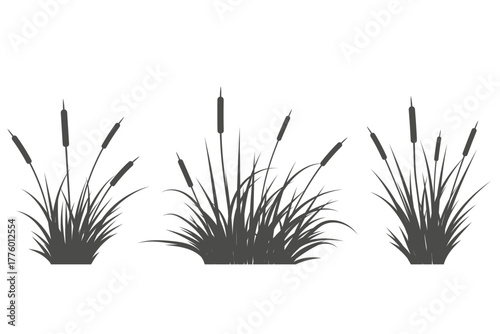 Grass reed black silhouette. Vector swamp tall cattails. Aquatic plants near river and lake isolated on white background. Bulrush high foliage flat illustrations set