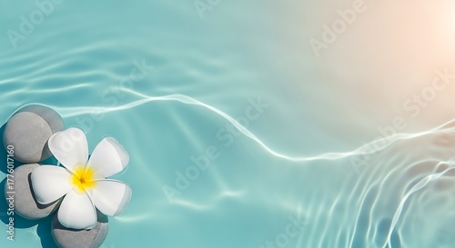 White flower and grey stones floating on water image